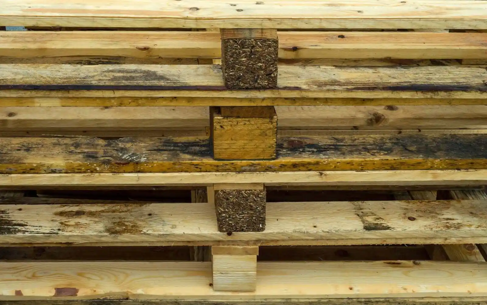 Tarimas de madera en Apodaca